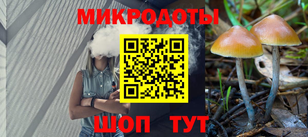 Галлюциногенные грибы Psilocybe Сосновоборск