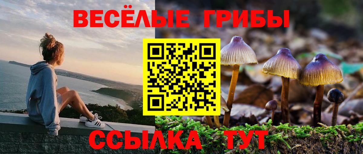 Сосновоборск  Псилоцибиновые грибы Magic Shrooms  Вход с VPN 